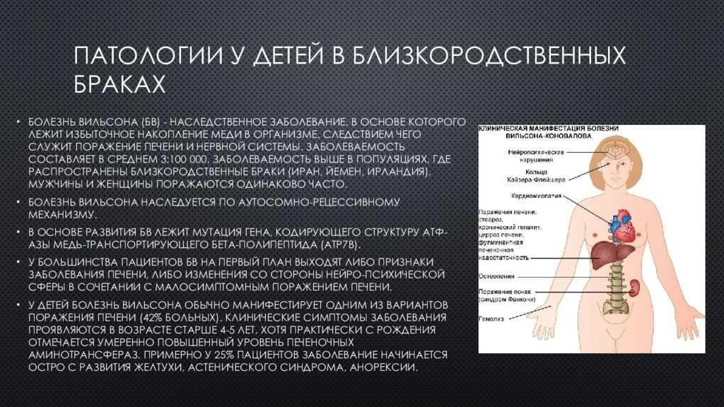 Тест: вы потомок крепостных или дворянской знати?  | кто?что?где?