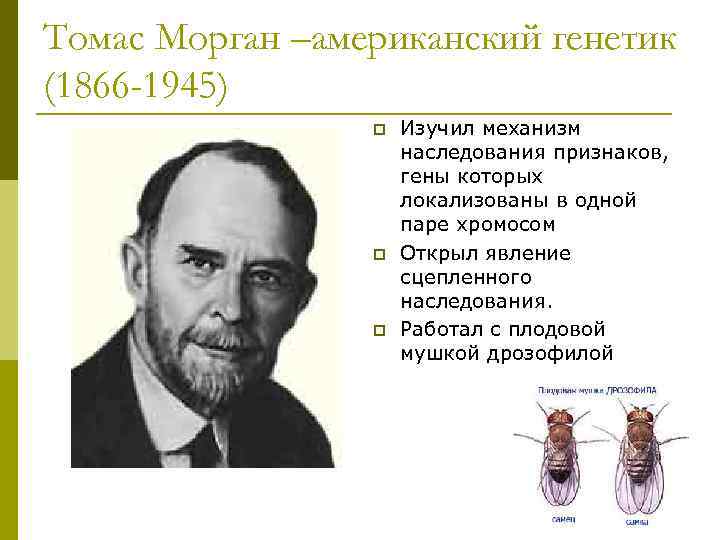 Томас хант морган - frwiki.wiki