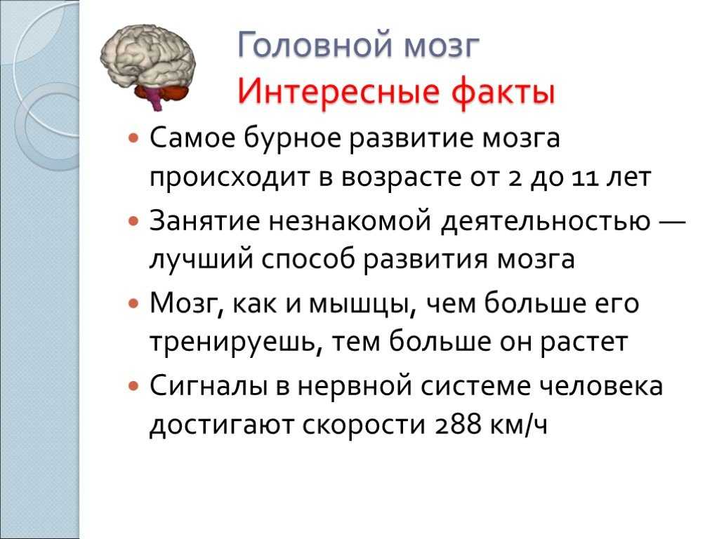 Русский язык и занимательные факты о нем