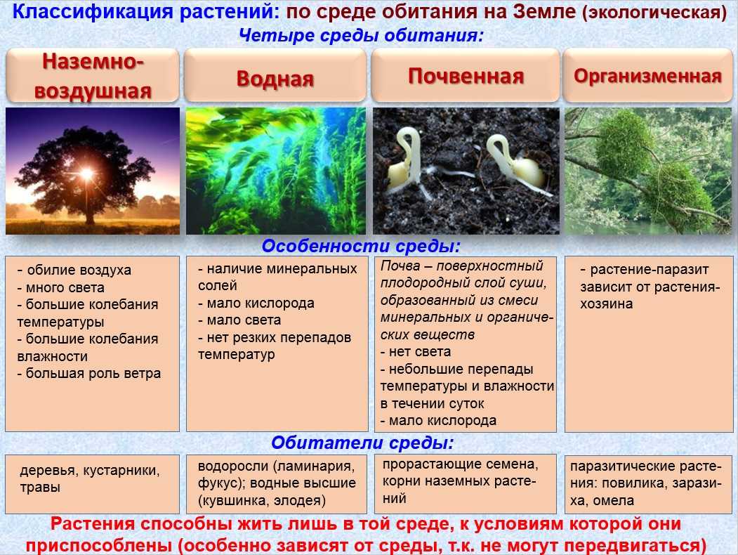 Чем отличается северный полюс от южного — особенности и отличия