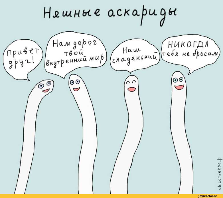 Собирание насекомых. знай и умей. самодельные коллекции по ботанике и зоологии