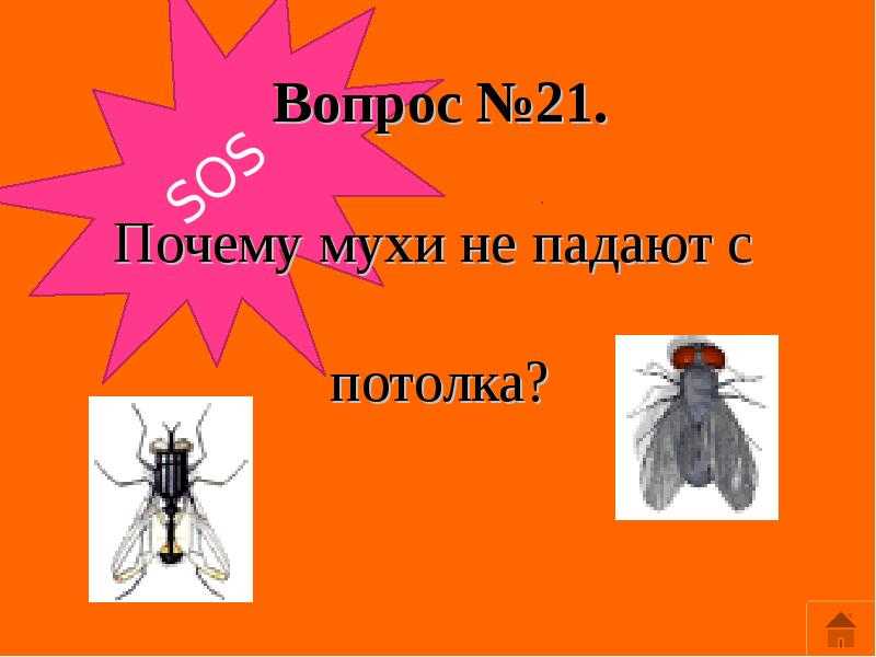 Теория музыки: лекция 1. музыкальный звук