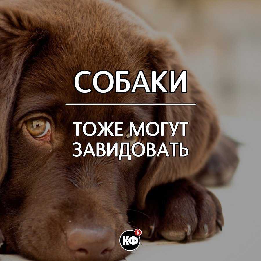 10 самых интересных фактов обо всем на свете