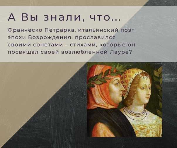 Франческо петрарка — певец вечной любви: жизнь и творчество. сонеты