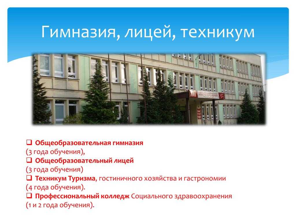 Чем различаются школа, лицей и гимназия и что лучше выбрать