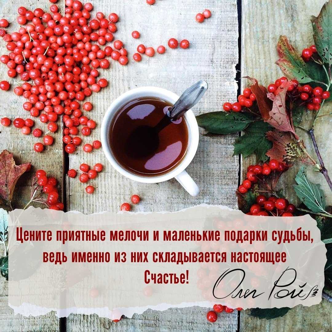 150 самых известных, коротких и гениальных цитат чехова