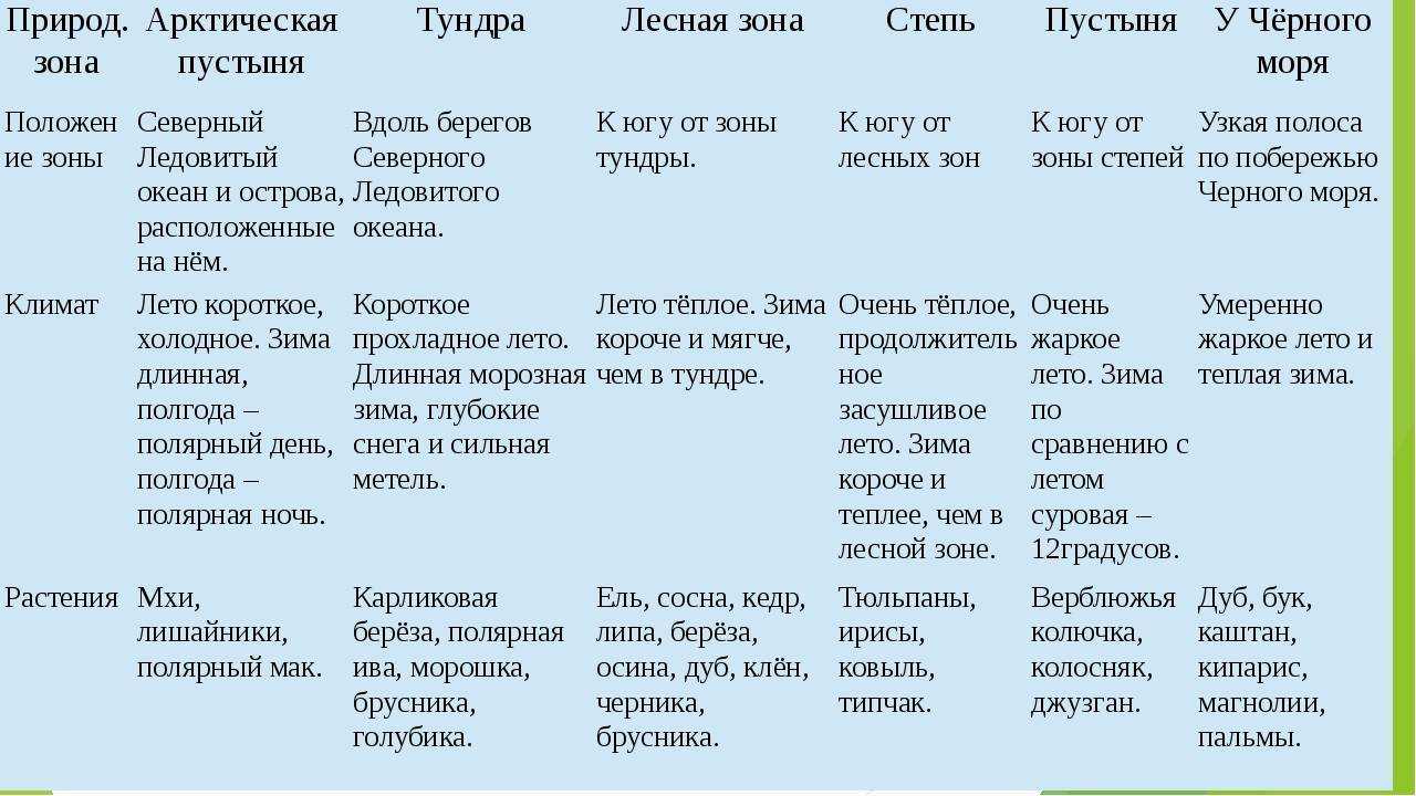 Доклад на тему тайга сообщение