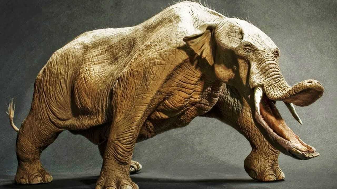 10 самых древних животных, доживших до наших дней • всезнаешь.ру