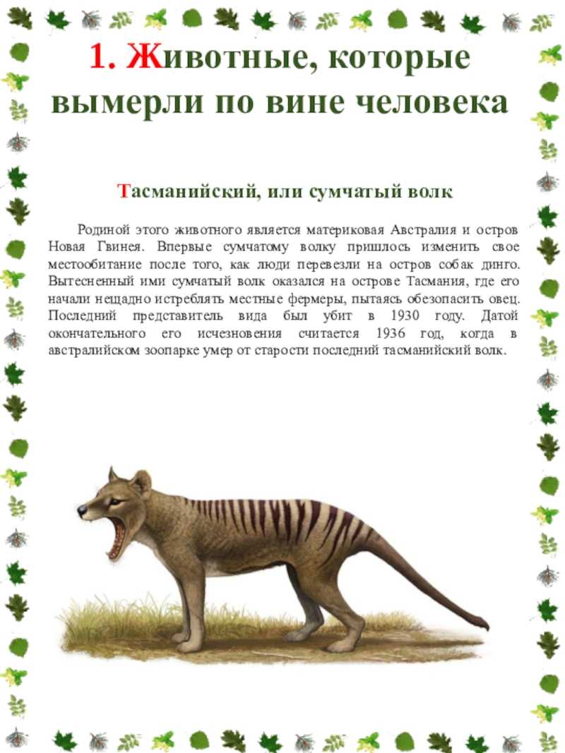 Животные, которые исчезли по вине человека