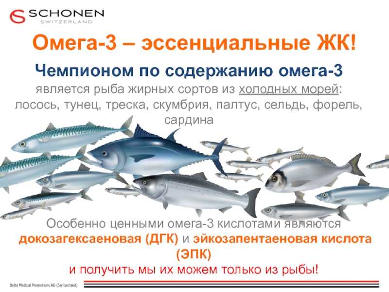 Чем отличается дикая форель от выращенной. главные отличия между дикой форелью и выращенной