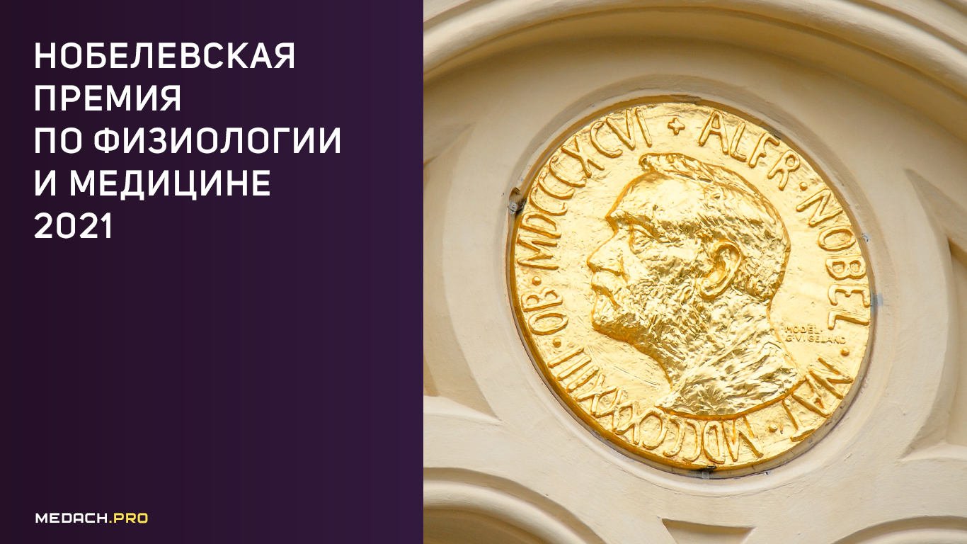 В нгу создаётся центр физики элементарных частиц и астрофизики