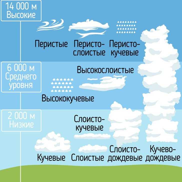 Перистые облака средняя высота. Виды облаков. Типы облаков таблица. Какие бывают облака. Виды облаков схема.