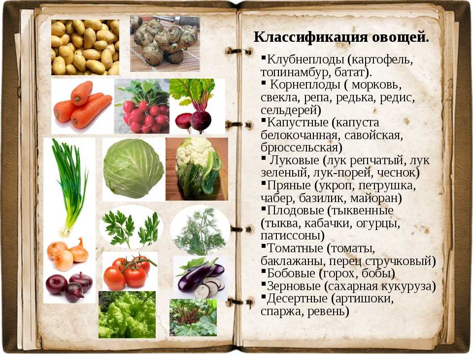 Овощи – виды и названия