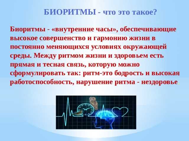 Понятие о биоритмах человека: описание, виды, значение в жизни