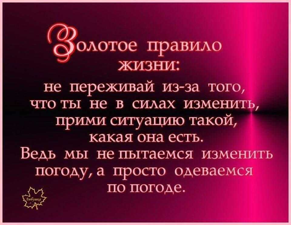 3 совета, чтобы понять любой предмет | сила лиса
