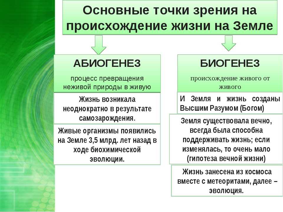 7 научных теорий о происхождении жизни (и 5 ненаучных версий того же) / алекс а. алмистов