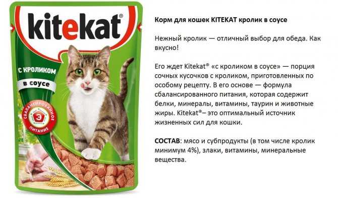 Таурин для кошек: чем полезен, в каких кормах и продуктах содержится