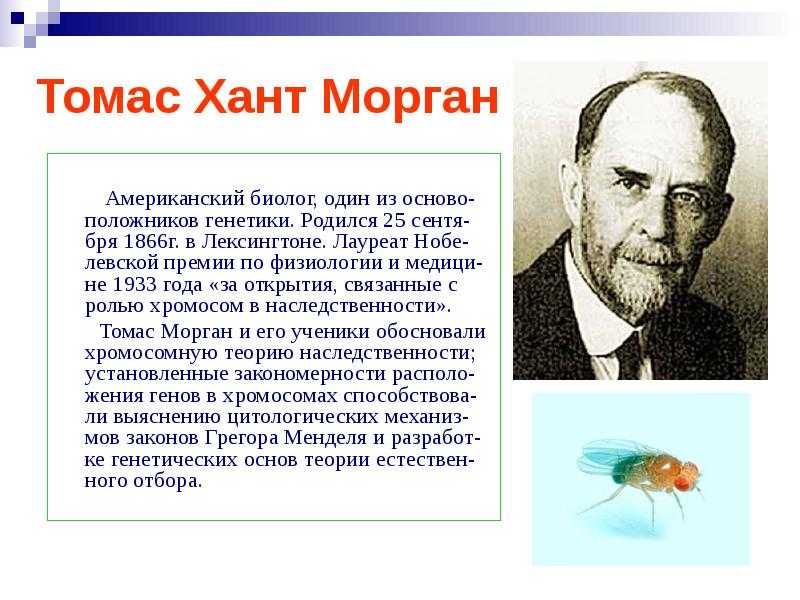 «добился невозможного»: за какое открытие вручена нобелевская премия в области физиологии и медицины — рт на русском