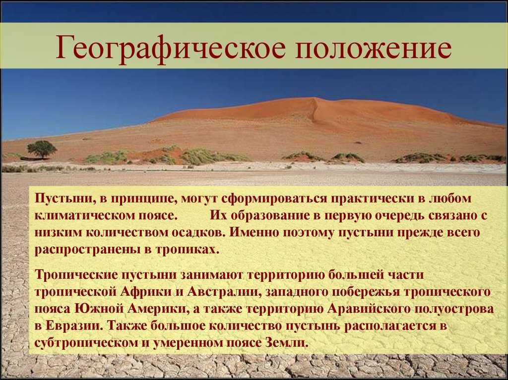 Пустыни – животные и растения жаркой зоны (окружающий мир 2 класс )