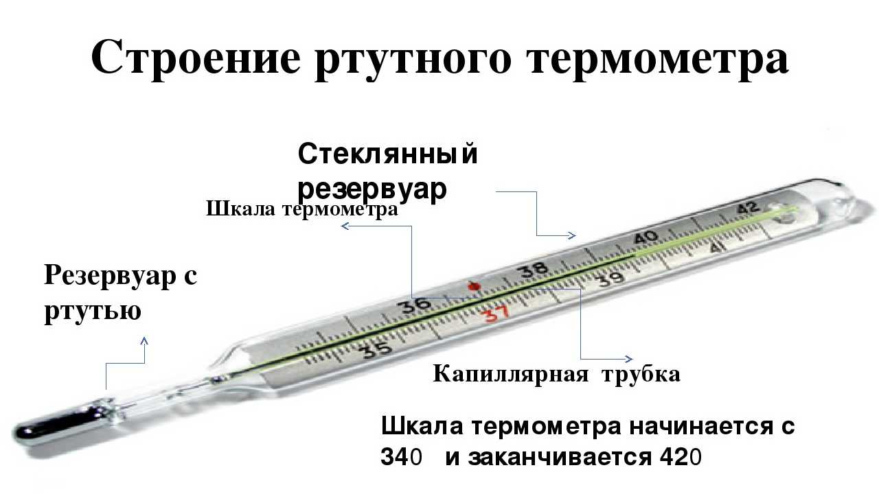 Как устроен ртутный градусник - кудаградусник.ру