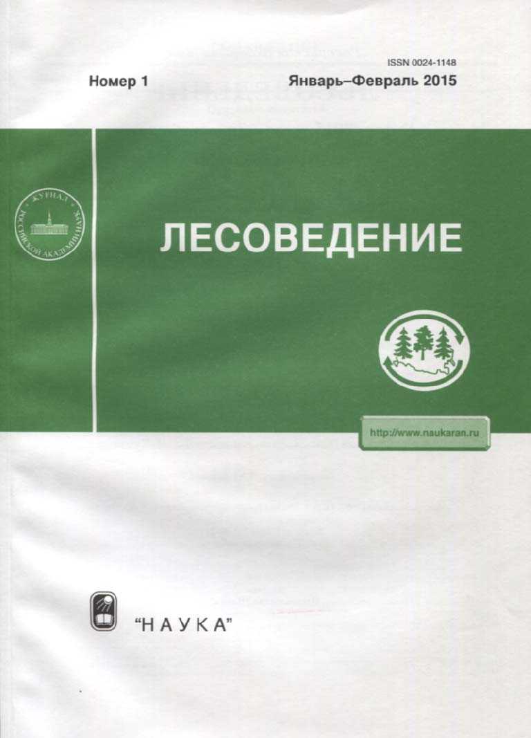 Сколько разлагаются различные виды мусора в природе — таблица