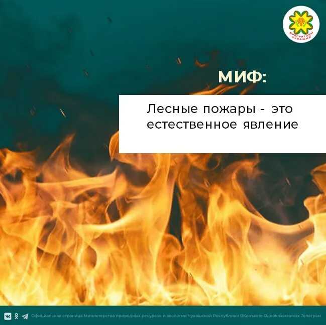 8 мифов, которые были опровергнуты, но по-прежнему бытуют в обществе