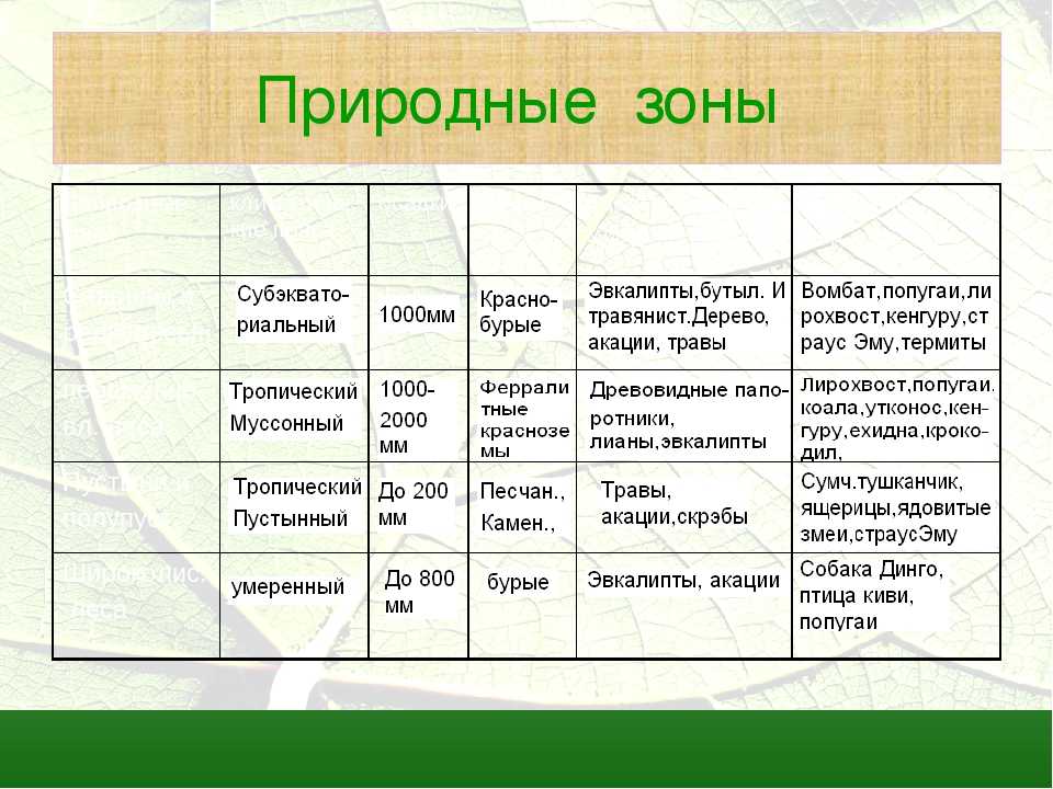 Полярный климат: расположение, характеристики, виды, фауна, флора. - наука - 2023