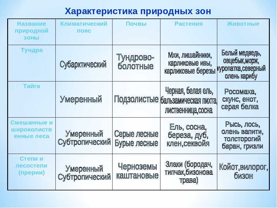 Арктические пустыни – животные, растения, особенности, природная зона, почвы, описание