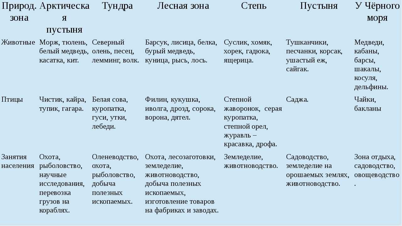 Арктические пустыни: географическое положение, климат, растения, обитатели