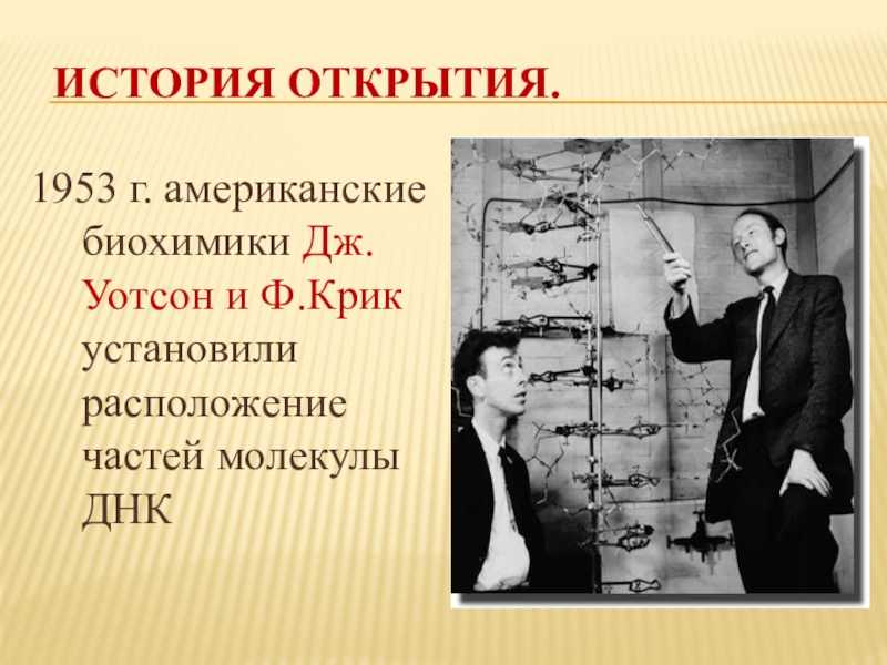1953–1961 годы. теория программирования. борьба за кибернетику и генетику.