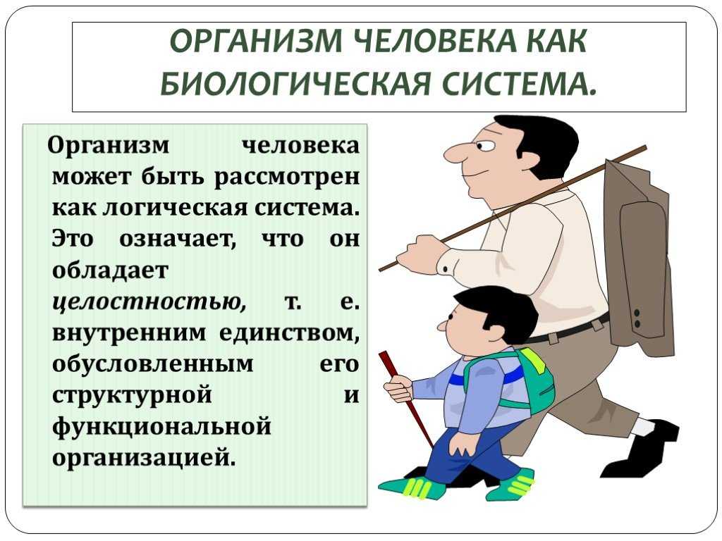 Конспект "организм человека. общий обзор" - учительpro