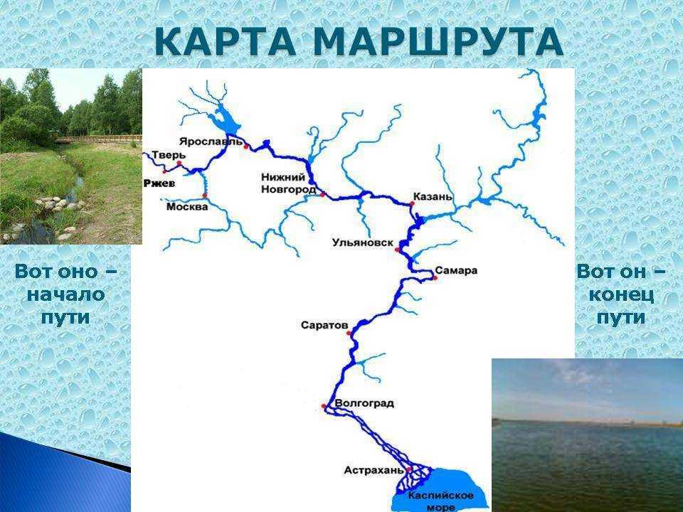 Волга впадает в каспийское море — циклопедия