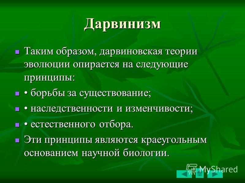 10 попыток объяснить существование жизни без дарвиновской теории эволюции