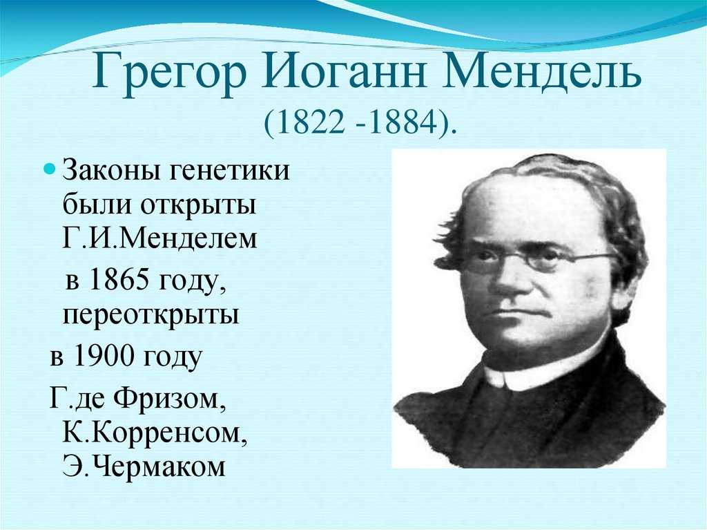 Замысел дарвина