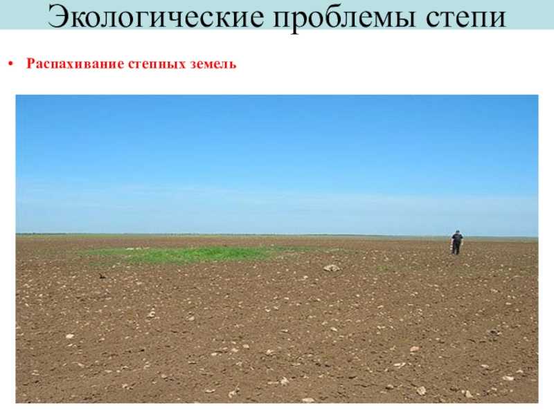 Основные природные зоны