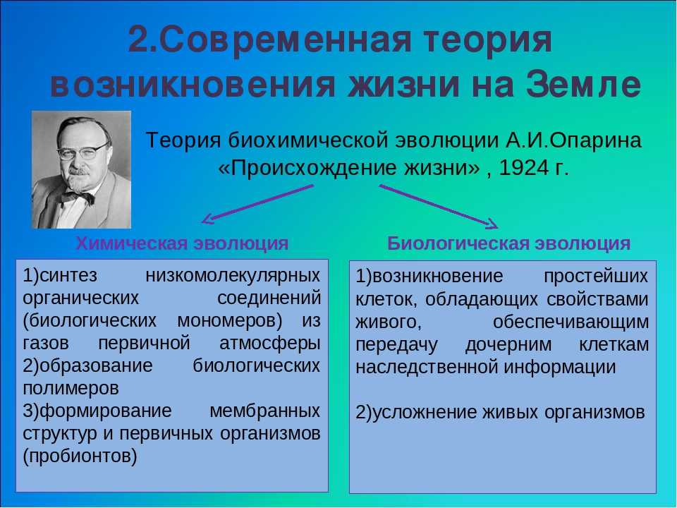 Основные теории абиогенеза / биология | thpanorama - сделайте себя лучше уже сегодня!