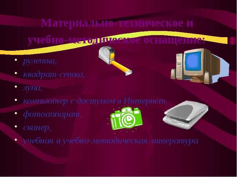 Презентация на тему индикация чистоты воздуха с помощью эпифитных мхов