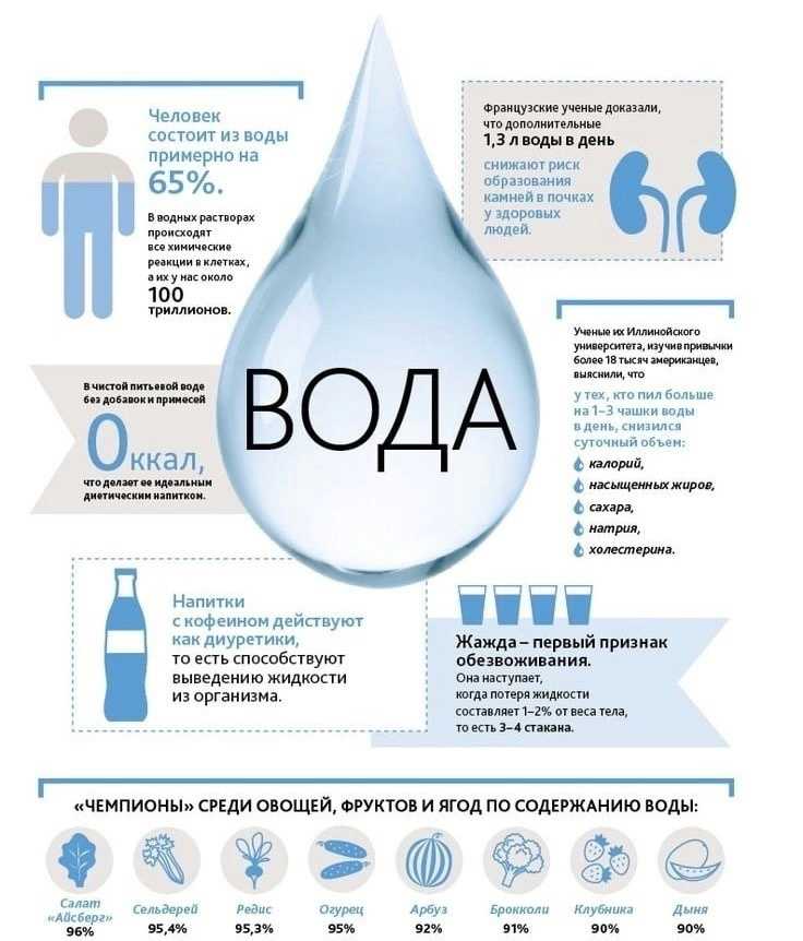 10 утверждений о пользе воды: правда или мифы | блог 4brain