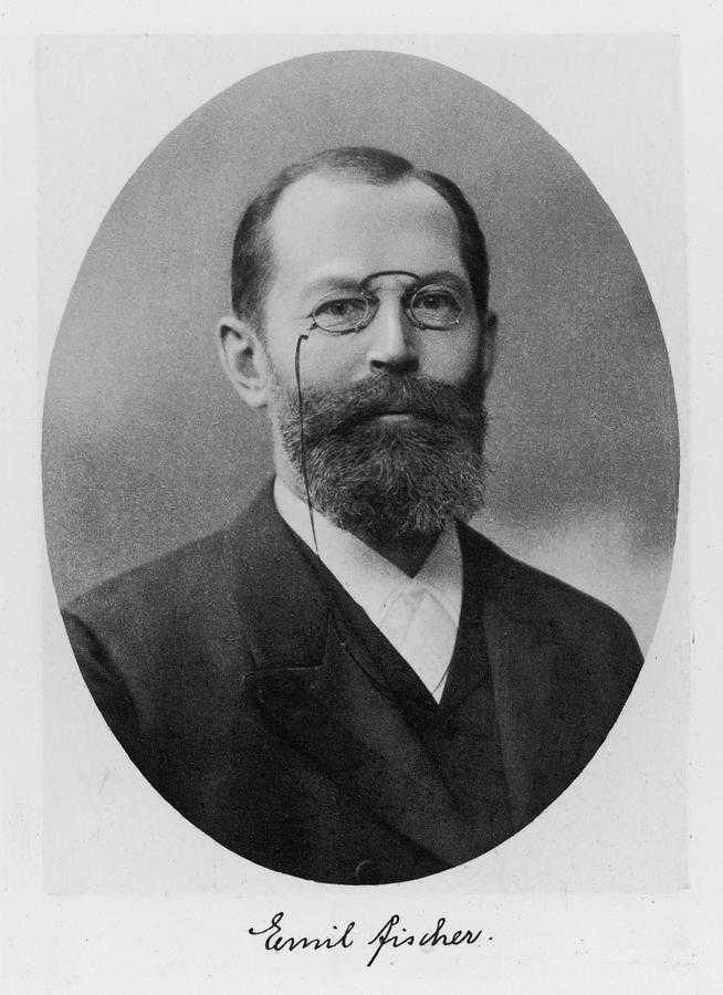 Фишер, герман эмиль биография, исследования, память, награды