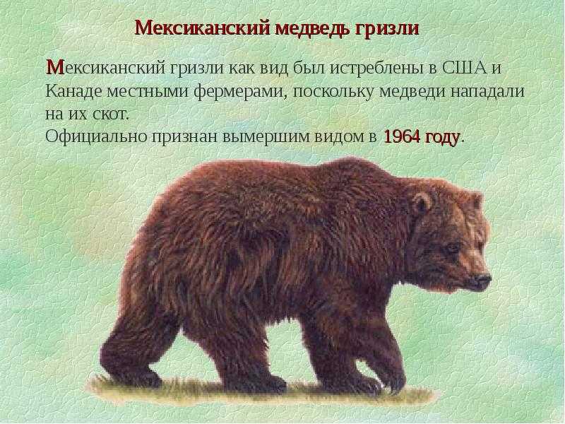Климат земли: что это, типы и виды климата на поверхности земли, факторы - климатические пояса и их характеристики