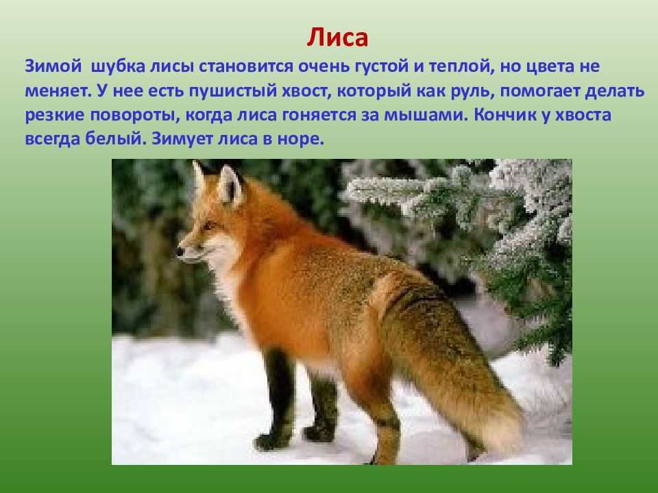 Вопрос-ответ