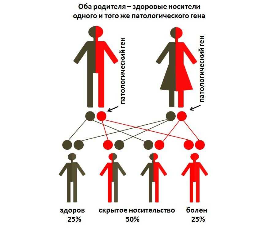 Инцест - табу в почти каждой культуре во всем мире, но это было не всегда так Дворяне и королевские правители старались сохранить королевскую кровь