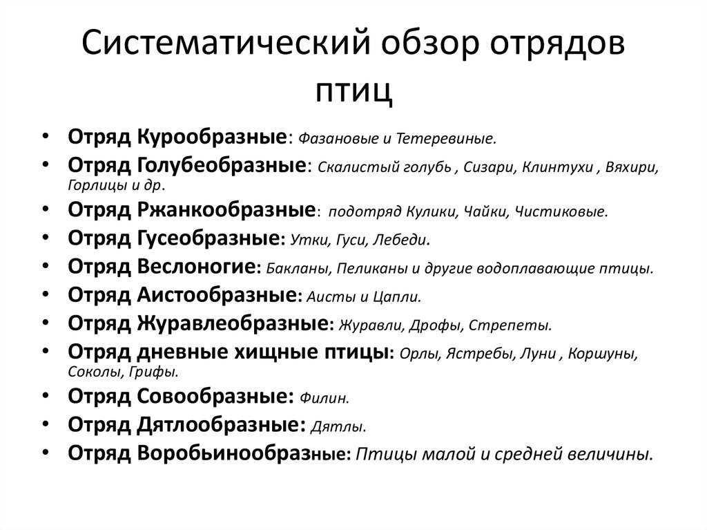 Зимние и зимующие птицы - подробные описания с 100 фото для детей и взрослых с особенностями