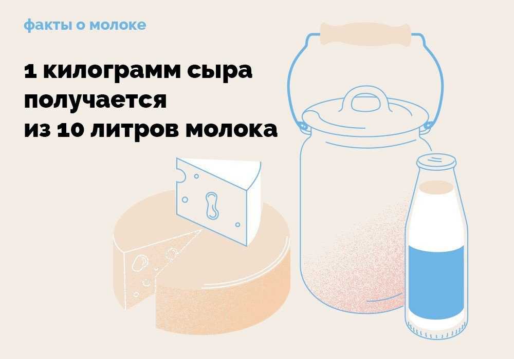15 интересных фактов о молоке