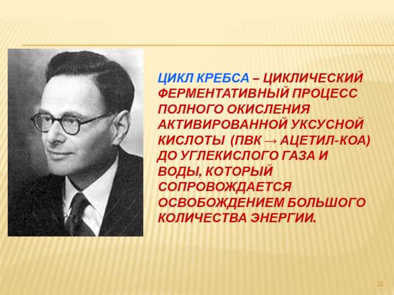 Как альтернативные источники энергии помогают получать тепло и электричество
