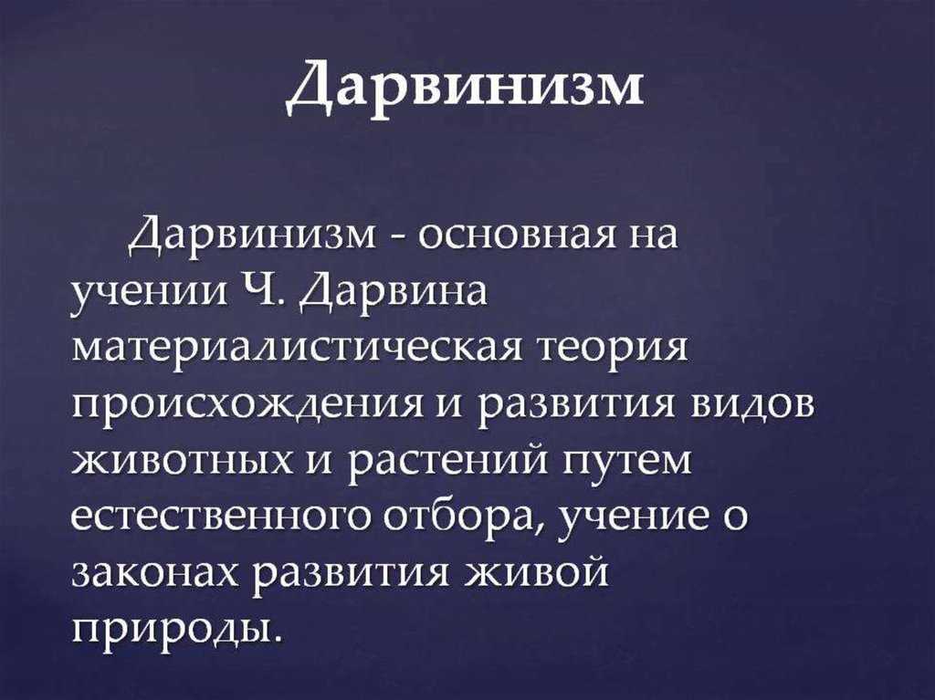 Почему копаться на чердаке полезно, чем предшественник Дарвина ему помог и чем помешал и почему в авторстве одной книги подозревали как первого программиста Аду Лавлейс, так и мужа королевы Виктории, рассказываем в рубрике История науки