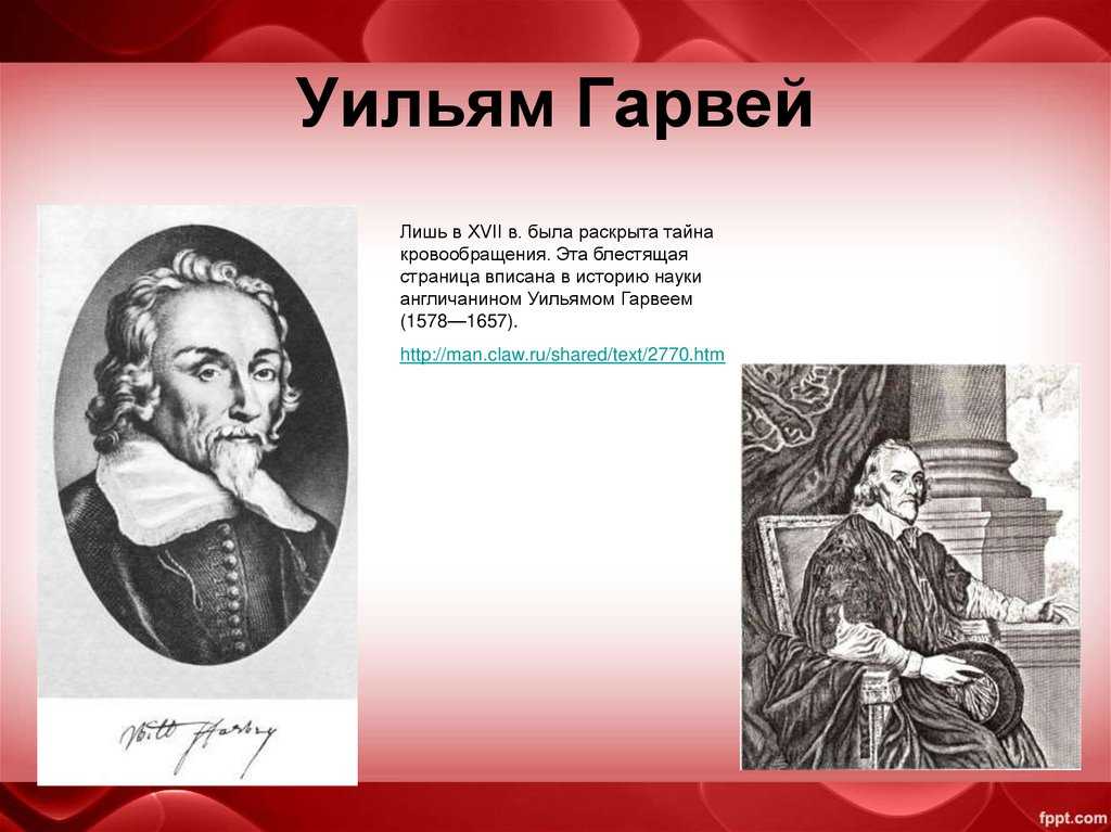 Выдающиеся анатомы хv–хvi веков и их вклад в мировую науку