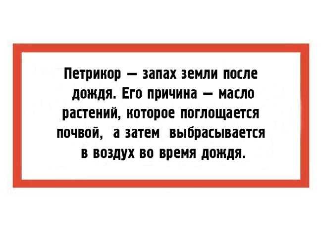 Умные слова для общения (разговора) и их значение