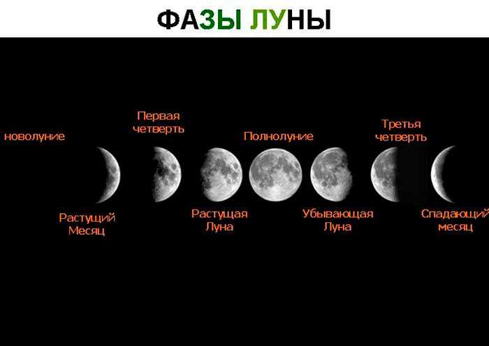 Видимое движение и фазы луны