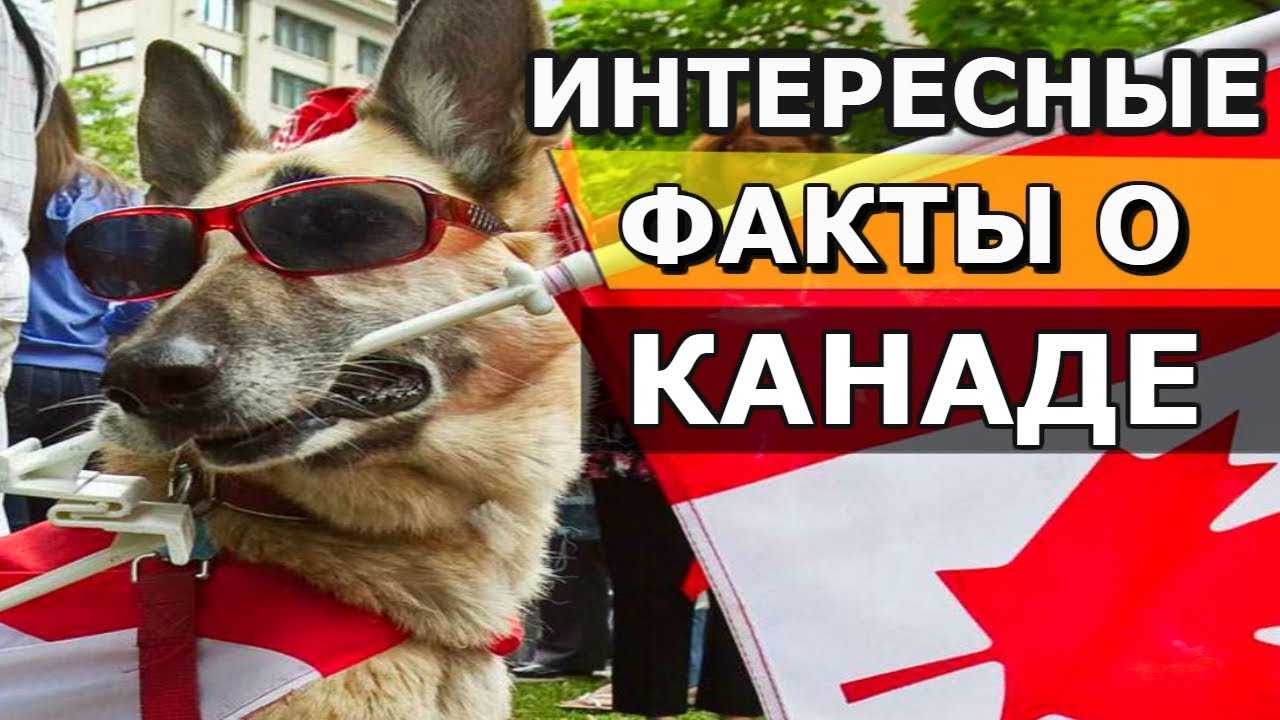 Канада — интересные факты